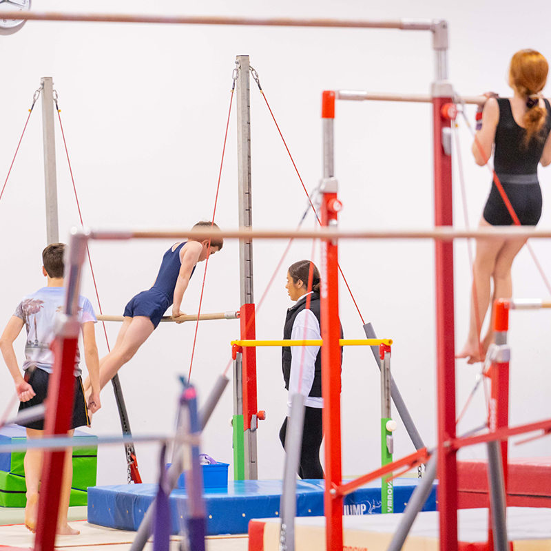 Gymnasts performing on various apparatus